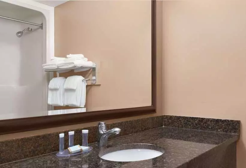 ホテル Travelodge By Wyndham Kamloops Mountview