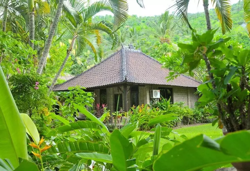 Coral View Villas