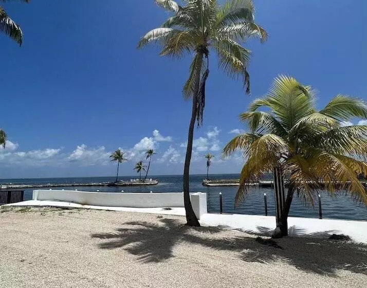 Отель Chesapeake Beach Resort