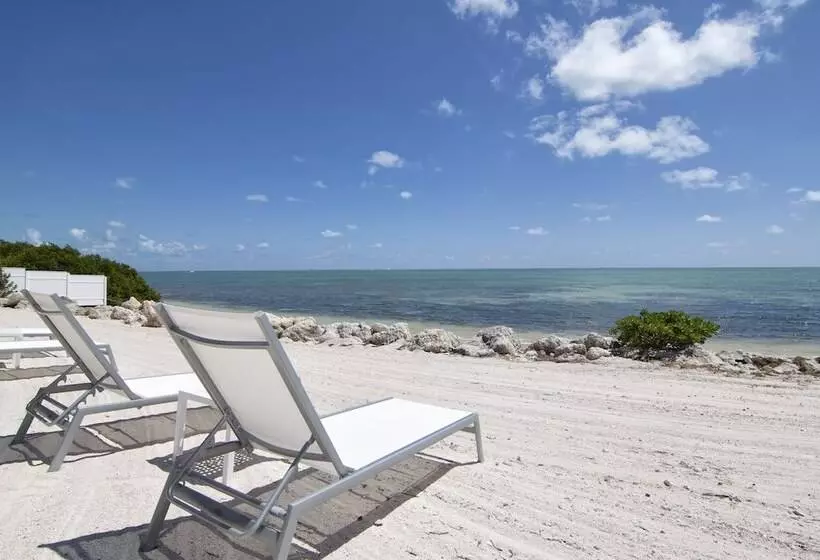 Отель Chesapeake Beach Resort