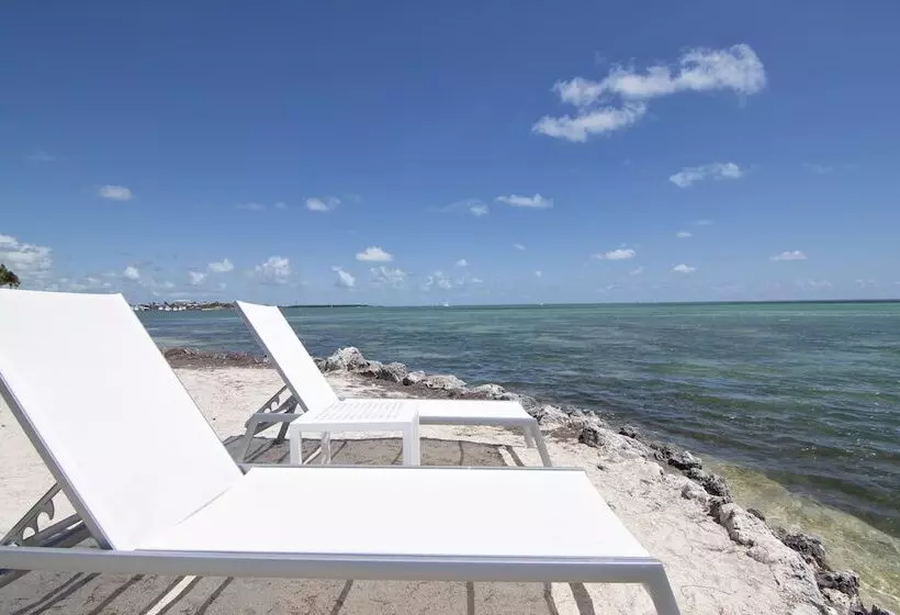 Отель Chesapeake Beach Resort