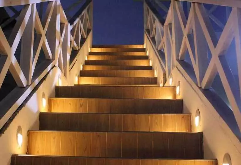 Отель Dorado Plaza Punta Arena