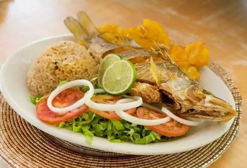 Отель Dorado Plaza Punta Arena