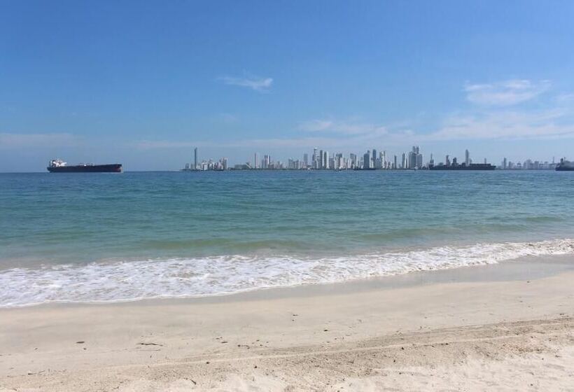 فندق Dorado Plaza Punta Arena