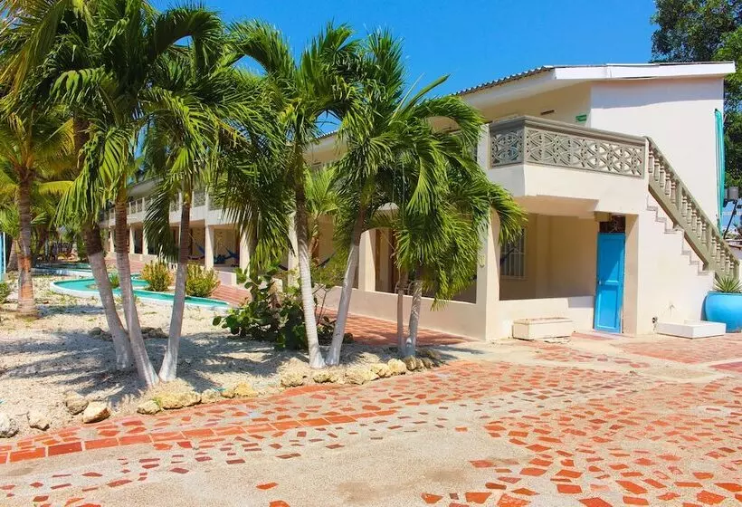 Отель Dorado Plaza Punta Arena