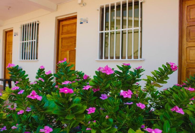 فندق Dorado Plaza Punta Arena