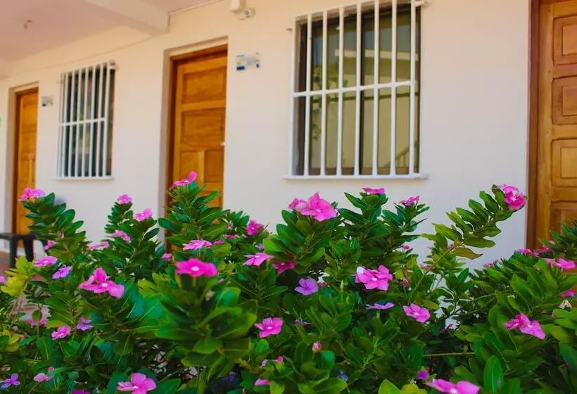 Отель Dorado Plaza Punta Arena