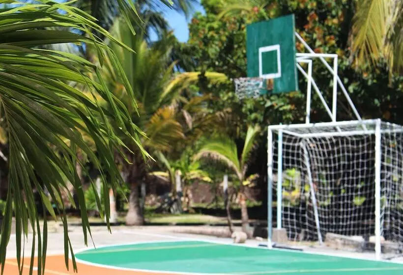 Отель Dorado Plaza Punta Arena