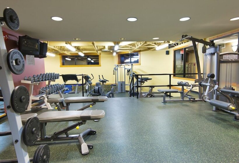 酒店 Lizard Creek Lodge