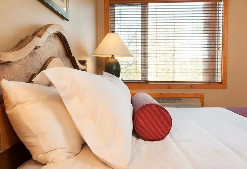 Szálloda Lizard Creek Lodge