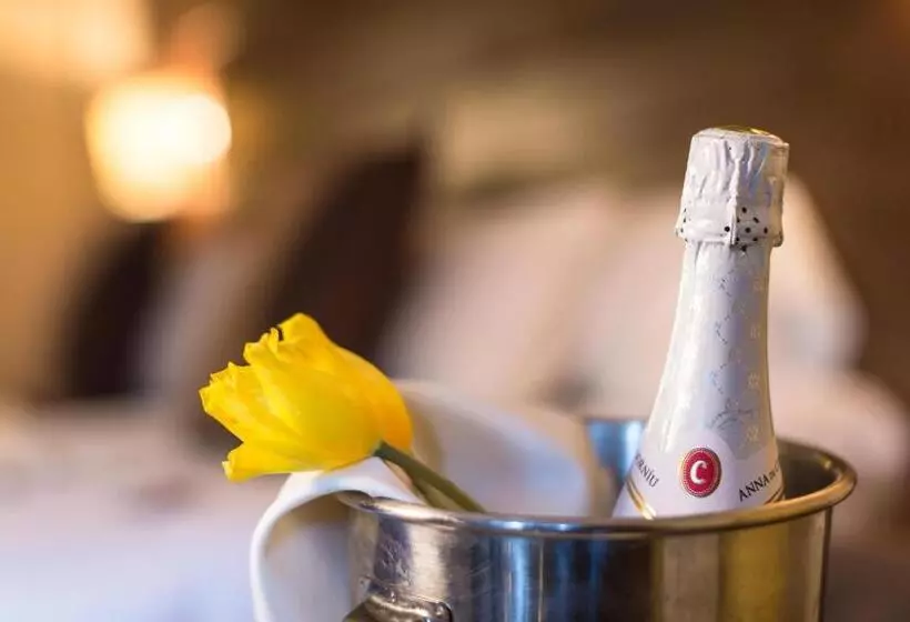 酒店 Màgic Ski by Nexta