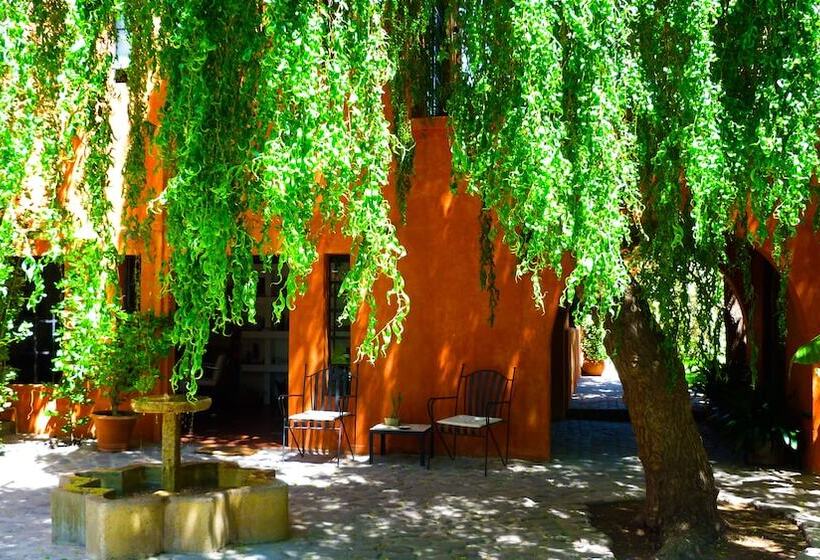 Kır Oteli Finca Adalgisa Wine