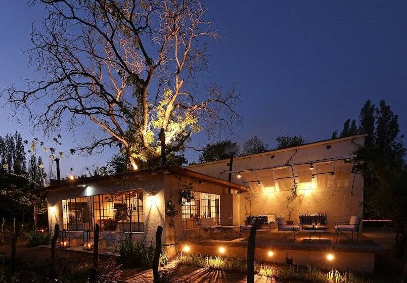 Kır Oteli Finca Adalgisa Wine