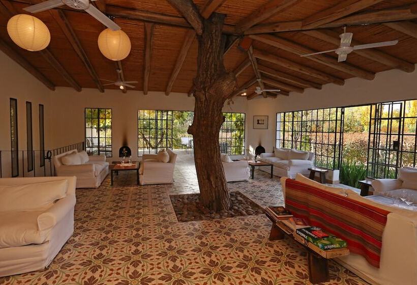 Kır Oteli Finca Adalgisa Wine