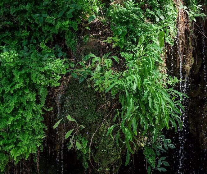 בית מלון כפרי Villa Retiro