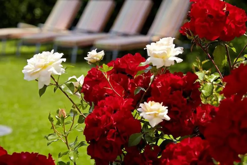 Hotel Hirschen In Freiburglehen