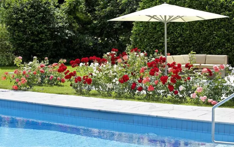 Hotel Hirschen In Freiburglehen