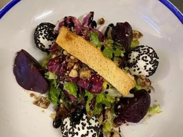 בית מלון כפרי White Sands