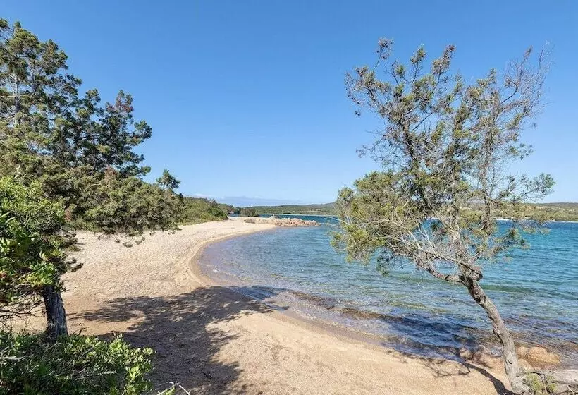 Резиденция Palau Green Village