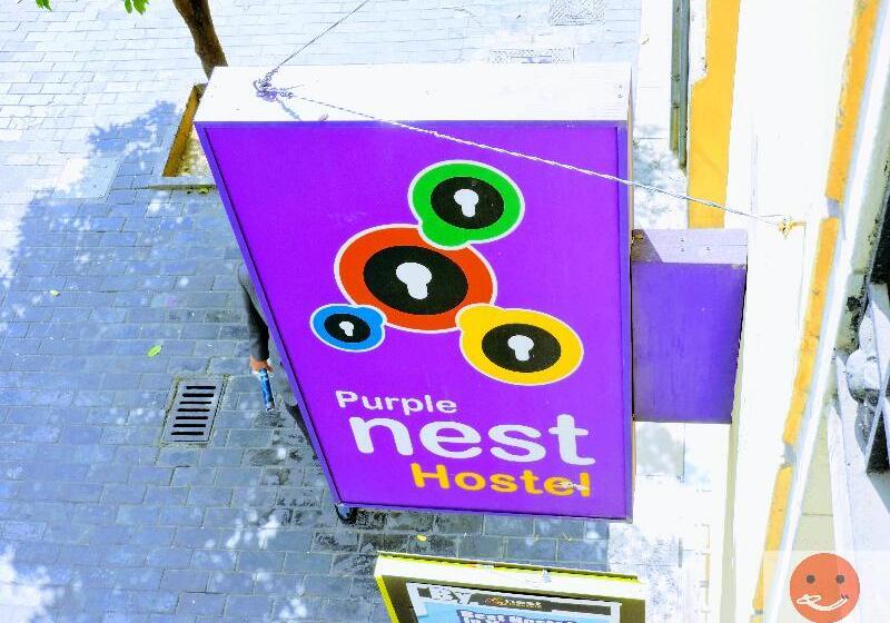 Purple Nest Hostel