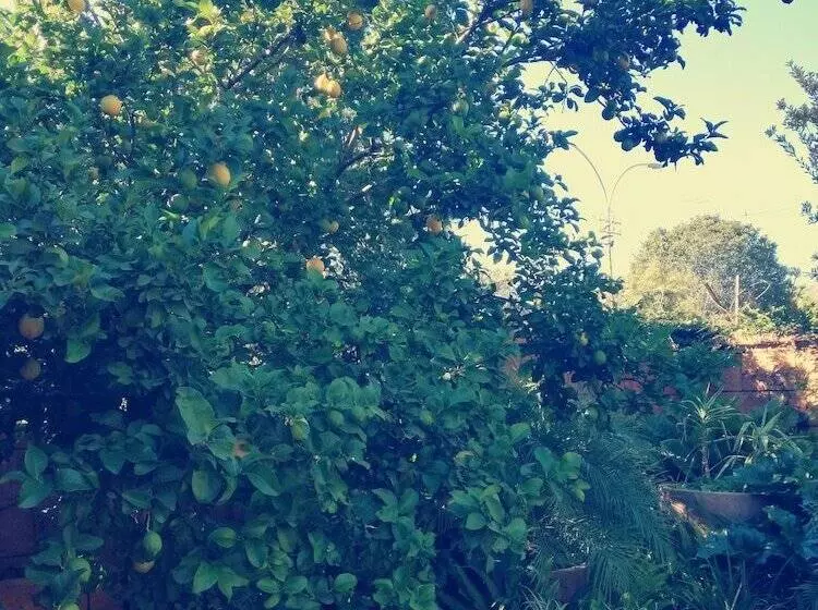 酒店 Bayswater Lodge