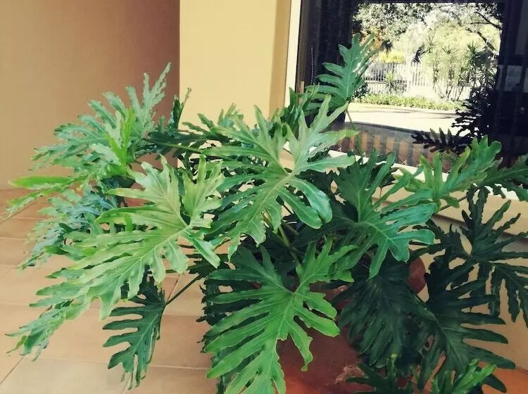 酒店 Bayswater Lodge