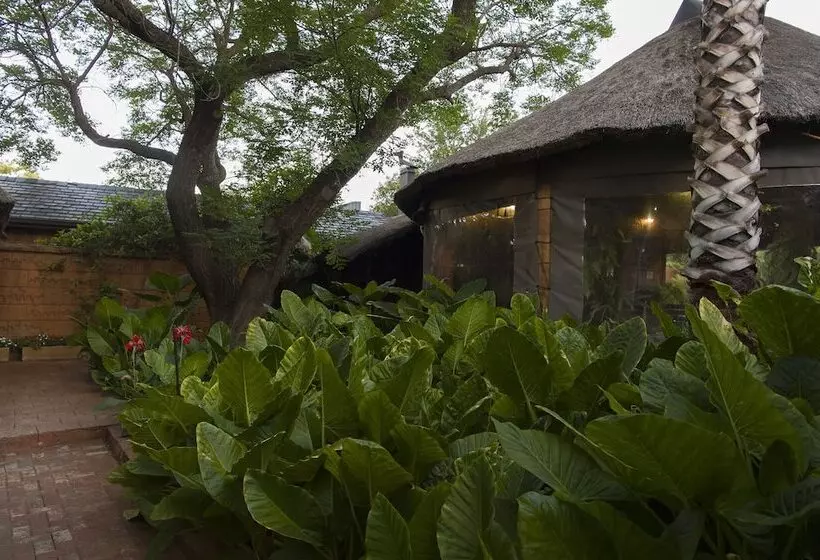 酒店 Bayswater Lodge