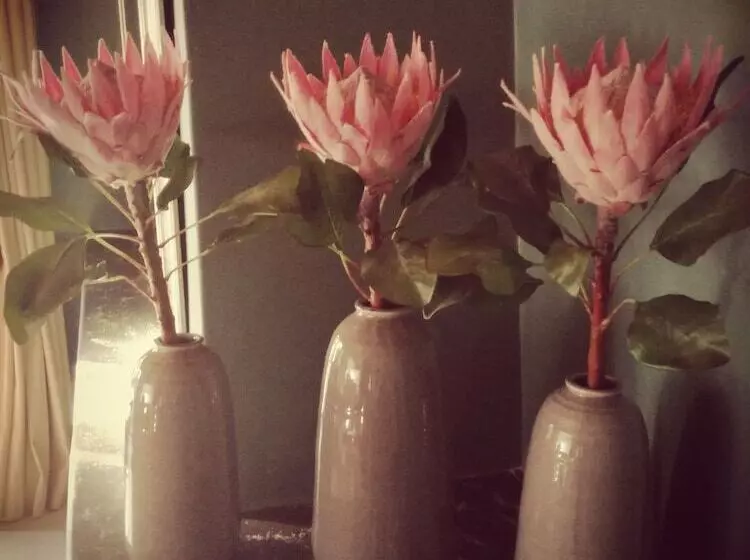 酒店 Bayswater Lodge