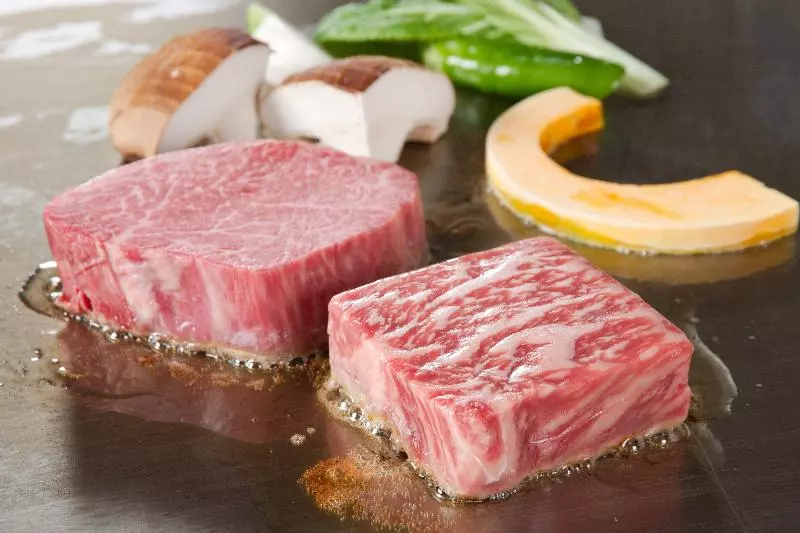 Hotel Ana Crowne Plaza Toyama, An Ihg