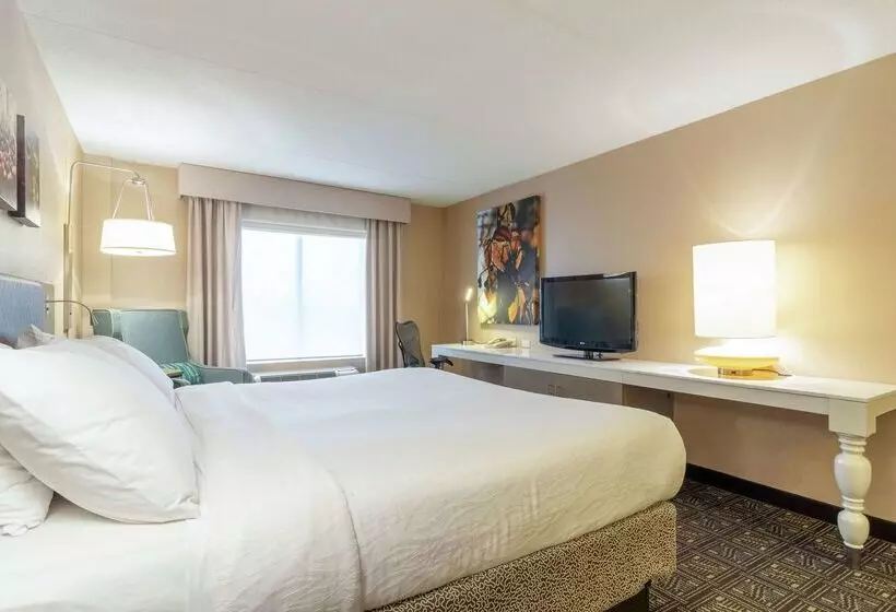 酒店 Hilton Garden Inn Niagaraonthelake