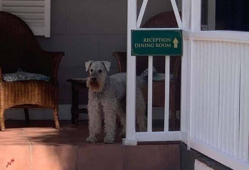 Hotel Housemartin Guest Lodge