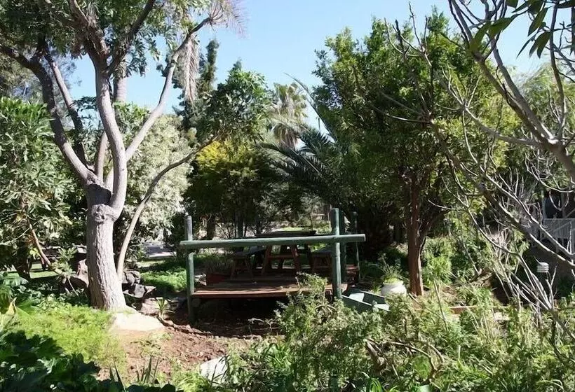 호텔 Housemartin Guest Lodge