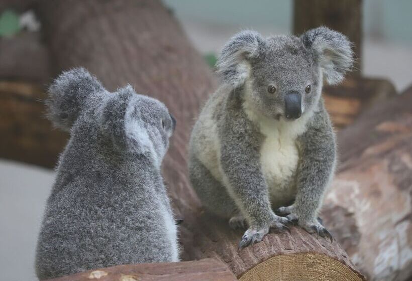 Jr Kyushu Hotel Kagoshima