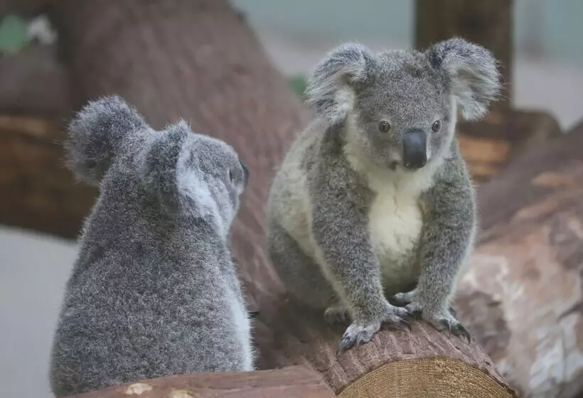 Jr Kyushu Hotel Kagoshima