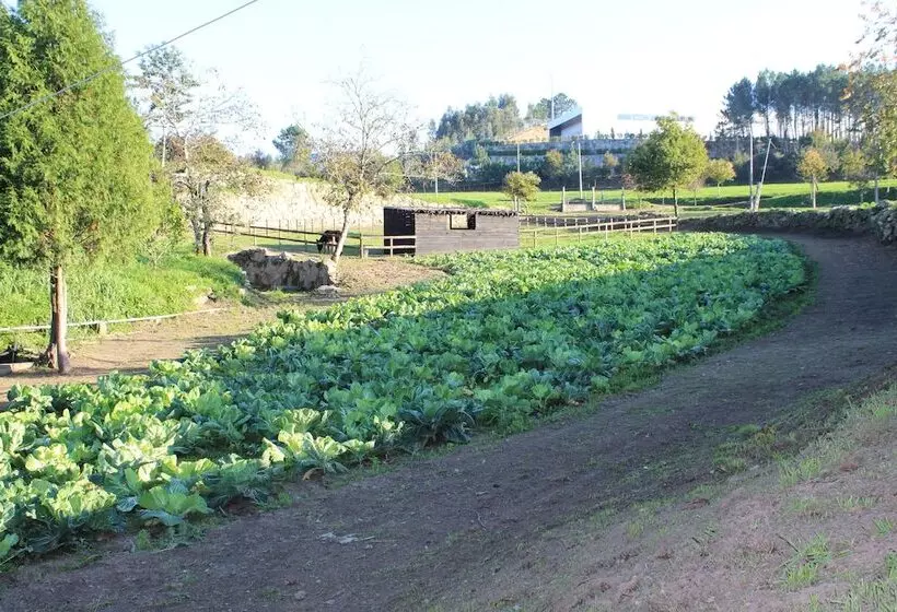 田舎風ホテル Rural Casa De São Pedro