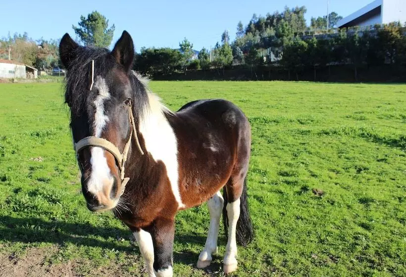 田舎風ホテル Rural Casa De São Pedro