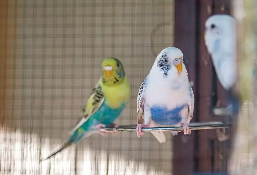 호텔 Palms City Resort