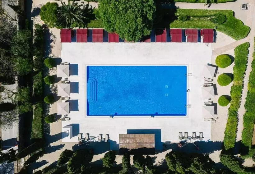 酒店 Son Julia Country House & Spa