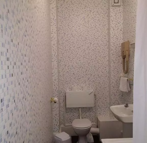 فندق The Carlton