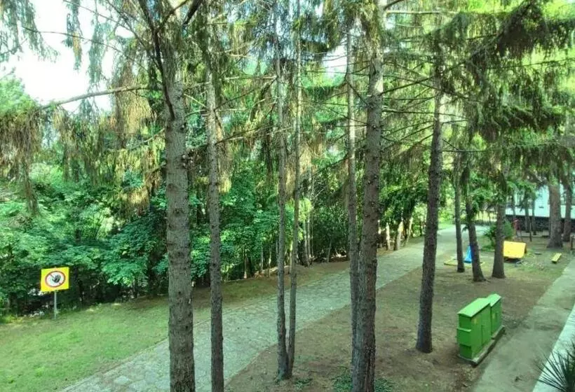 Park Hotel Briz   All Inclusive & Free Parking