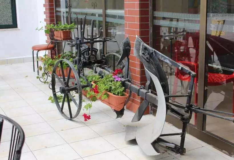 Park Hotel Briz   All Inclusive & Free Parking