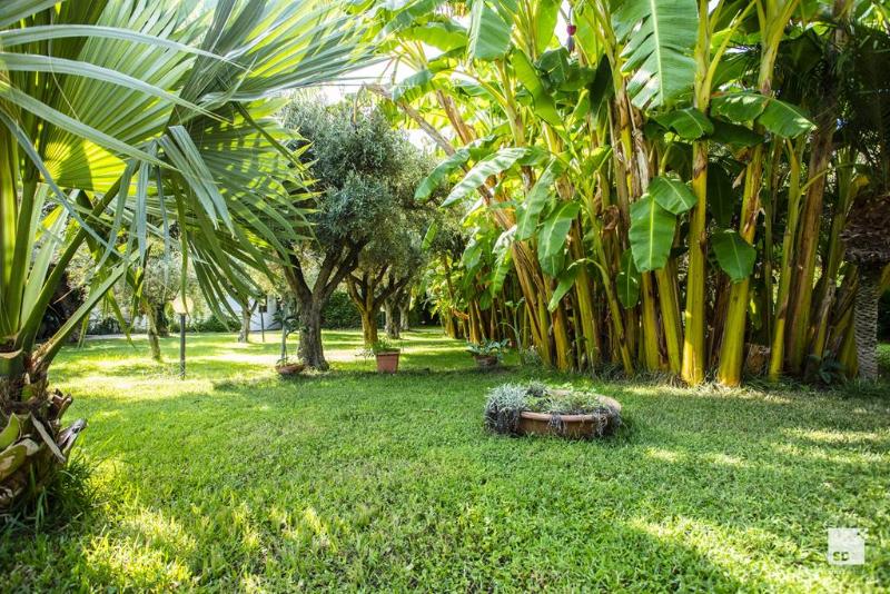 Tonicello Hotel Resort & Spa