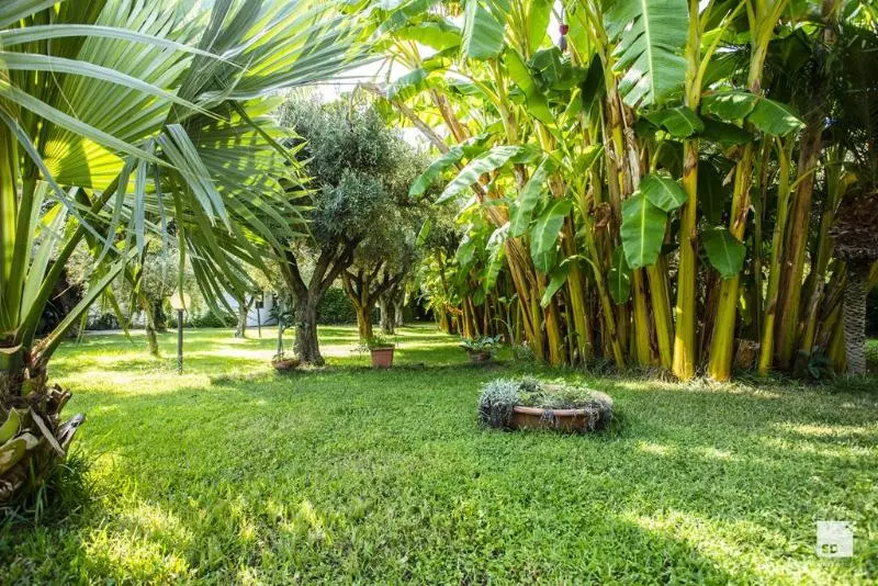 Tonicello Hotel Resort & Spa