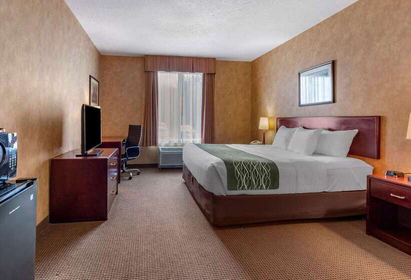 ホテル Comfort Inn