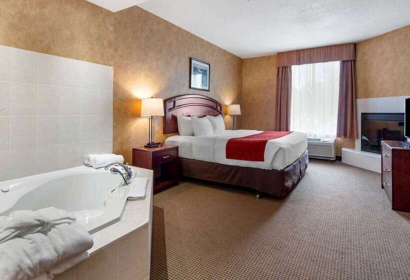 ホテル Comfort Inn