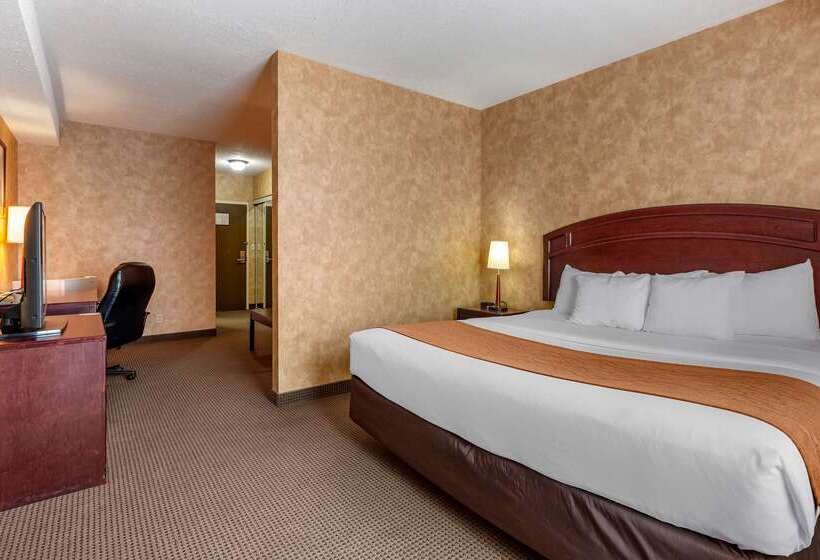 ホテル Comfort Inn