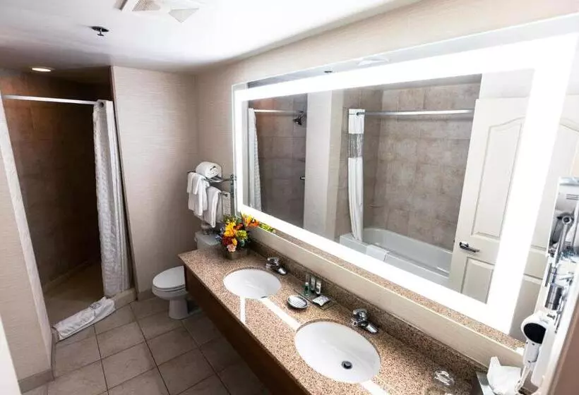 Отель Deerfoot Inn And Casino