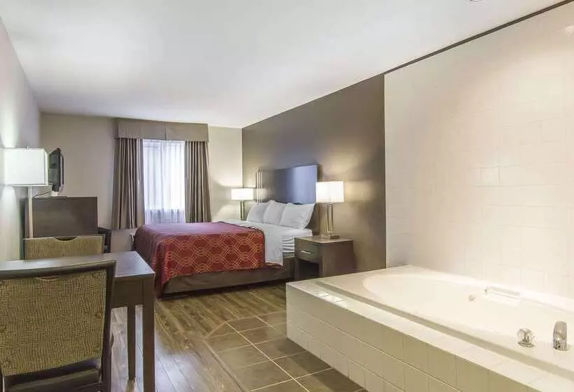 ホテル Econo Lodge Inn & Suites