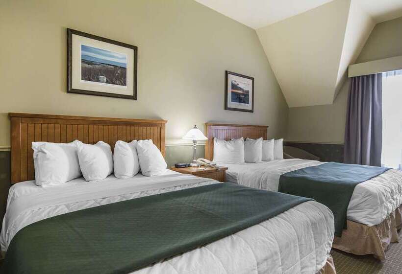 فندق Quality Inn