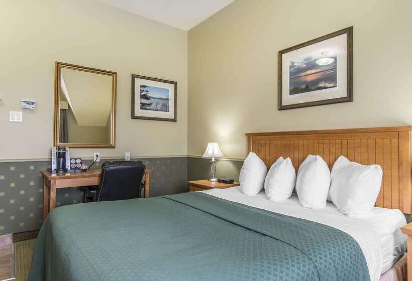 فندق Quality Inn